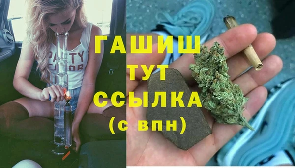 тгк Алзамай