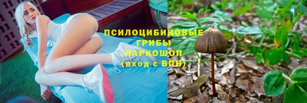 СК Абдулино