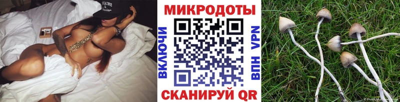 Галлюциногенные грибы Magic Shrooms  Чадан 